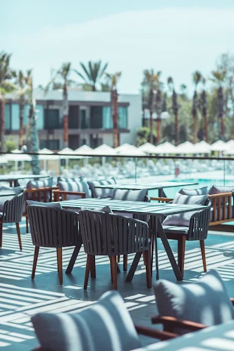 Paloma Orenda Sorgun